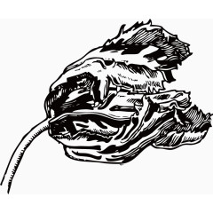 矢量素描花骨朵