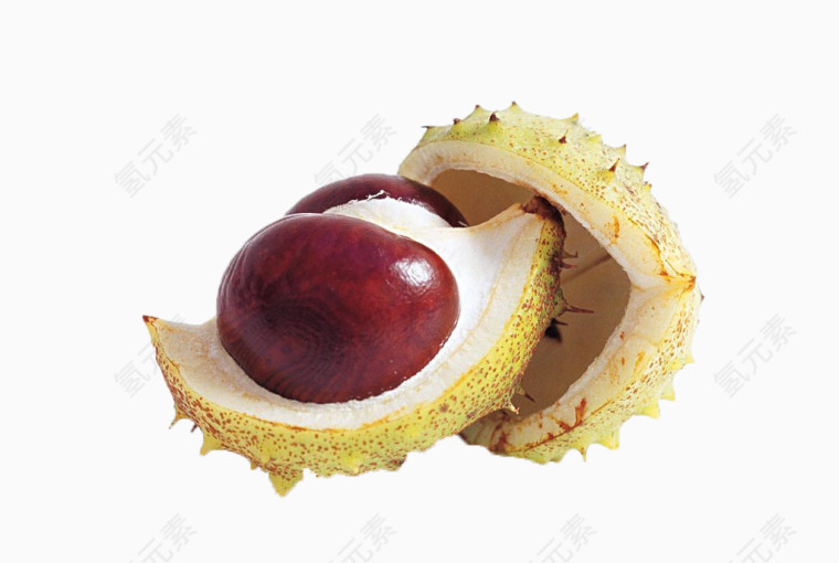 剥壳粟子