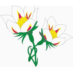 手绘黄色花蕊的白色花朵