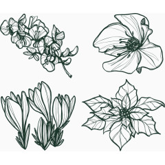 四种手绘冬季花朵图案