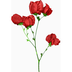 红色玫瑰花
