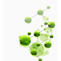 矢量绿色生物链