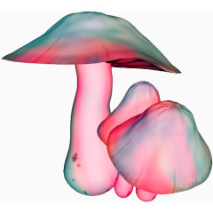 粉色蘑菇