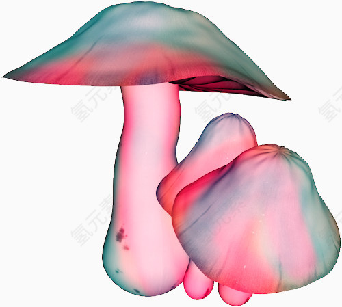 粉色蘑菇