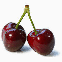 樱桃