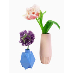 郁金香与风信子图片素材