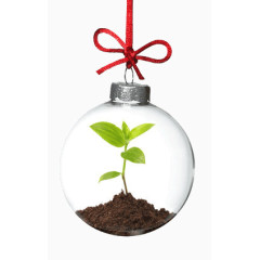 玻璃球里的植物