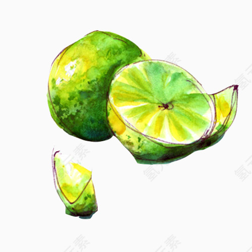 青柠檬手绘画素材图片