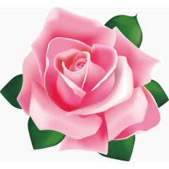 矢量手绘粉色花朵