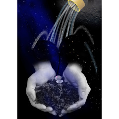 叶子 地球 手 希望 背景