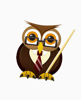 卡通可爱猫头鹰