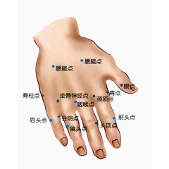人体手部指头穴位分布
