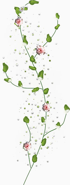 漂浮玫瑰花装饰