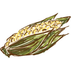 感恩节食物