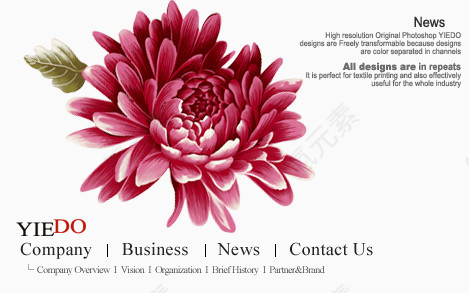 彩绘花卉高清图