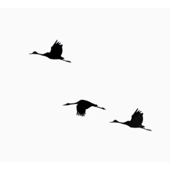 简约矢量飞翔小鸟