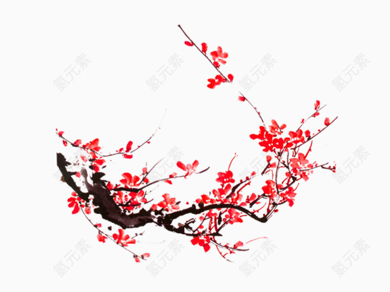 明亮艳丽梅花