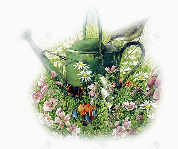 百花园和水壶