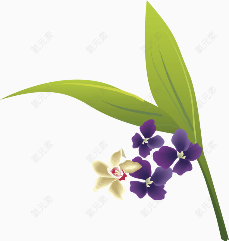 鸢尾花矢量图
