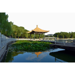 北京陶然亭风景