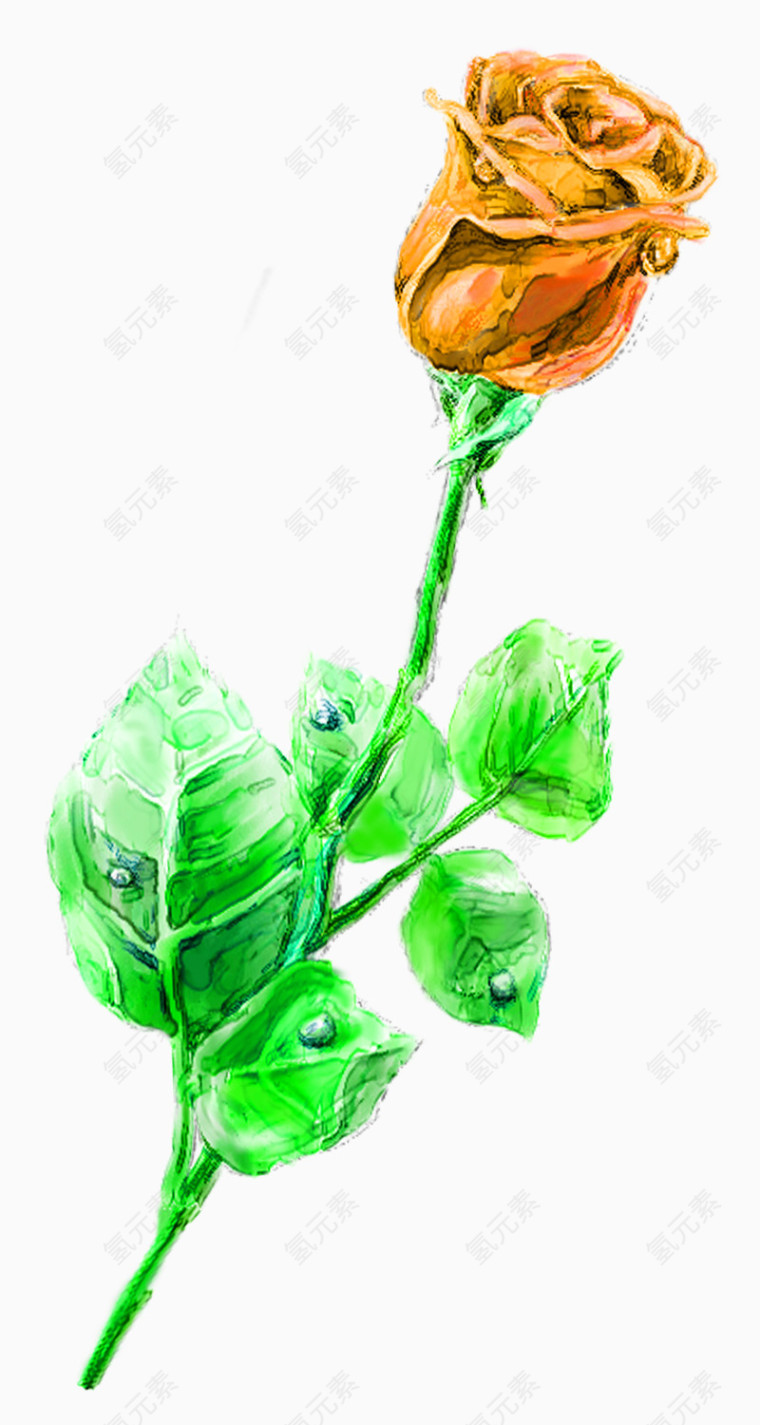 玫瑰花