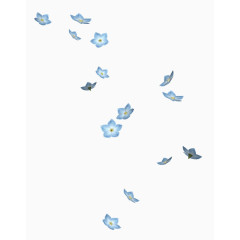 飘散花朵花瓣蓝色小花