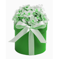 绿色彩带礼盒