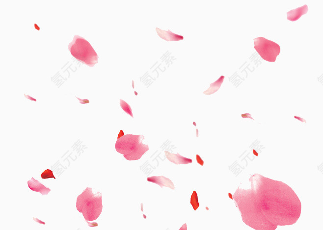 漂浮花瓣