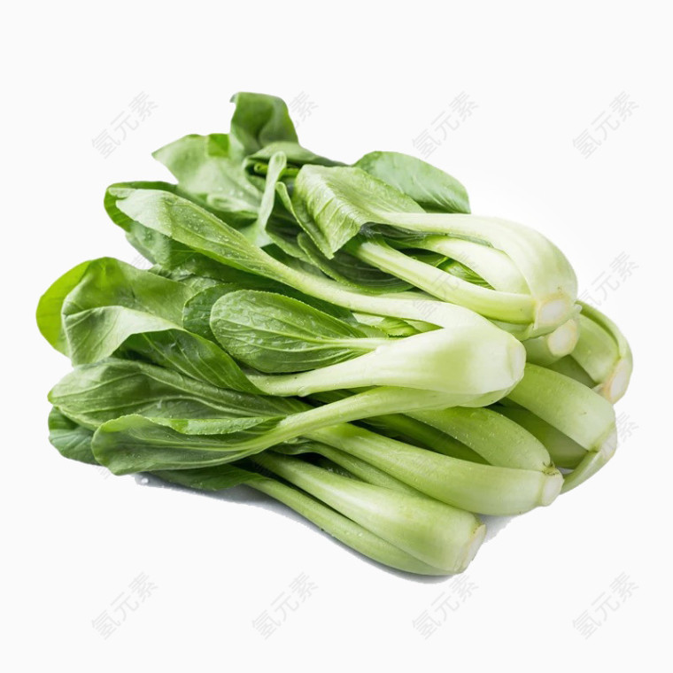 新鲜油菜