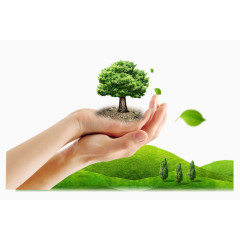 手捧绿树