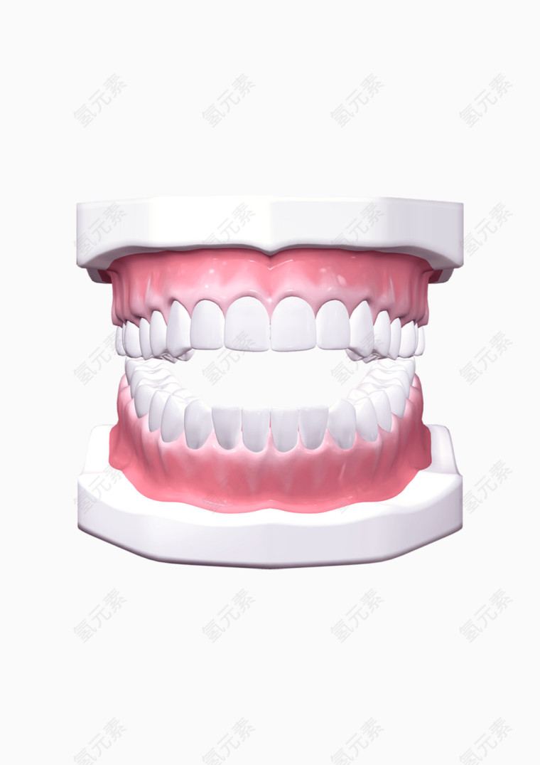 牙齿