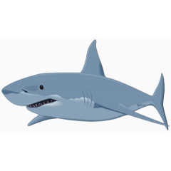 凶猛鲨鱼免抠素材