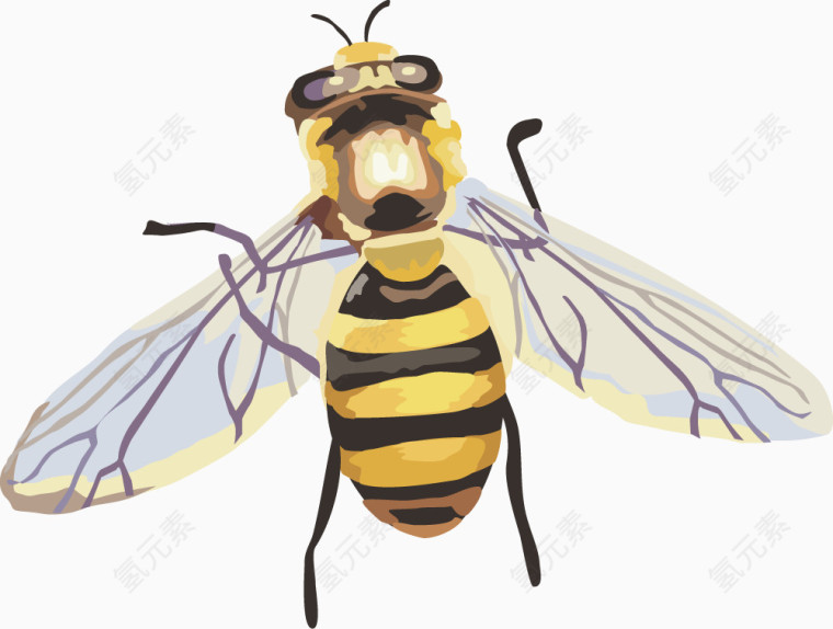 矢量黄蜂