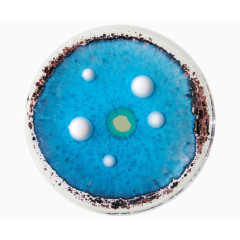 蓝色盘子里的视觉艺术