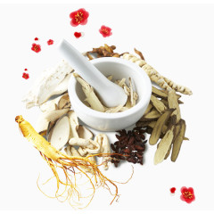 中药药材