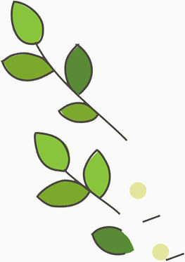 翠绿的树叶素材