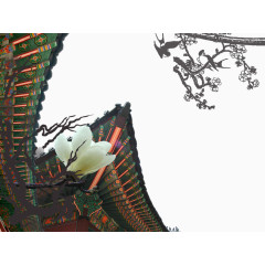 屋檐下的白玉兰