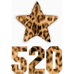 豹纹五角星和520