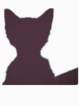 猫的影子
