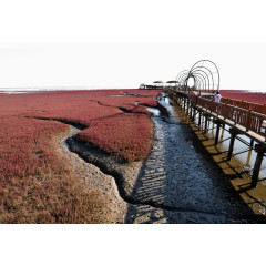 盘锦红海滩风景区