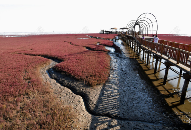 盘锦红海滩风景区