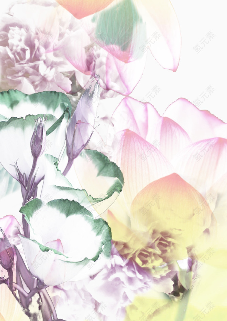 清新淡雅鲜花