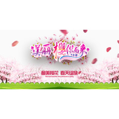 美丽樱花