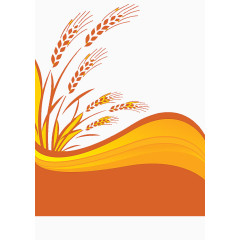 水稻 丰收 金色