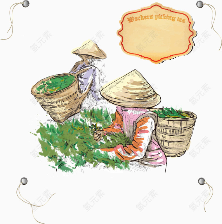 采茶叶的矢量妇女