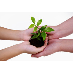 呵护绿植携手合作