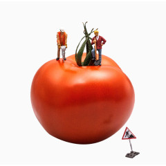 创意番茄上施工