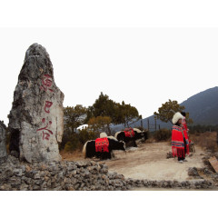 著名云南东巴谷