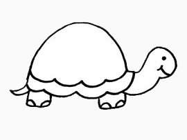 简笔画乌龟