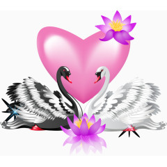 情侣天鹅爱心荷花